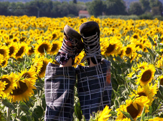 ils sont ou mes pieds ?