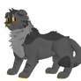 Graystripe