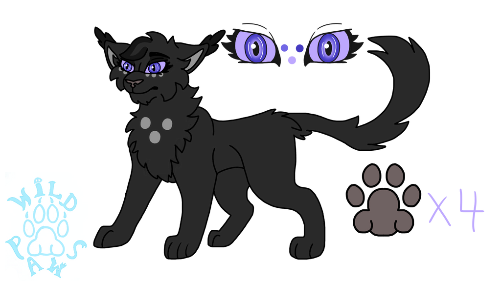 Nightcloud by WildPawsDraws on DeviantArt