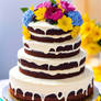 A cake to celebrate