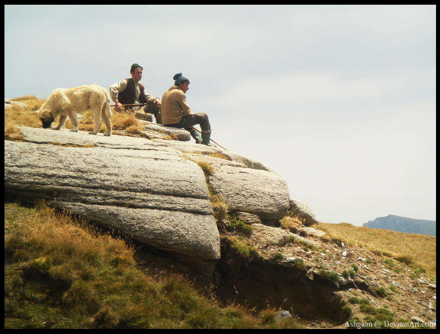 Shepherds resting