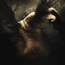 Rise of The Dark Angel