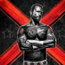 WWE 13 Style box