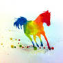 Colour horse