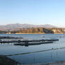 Lake Cachuma Pano 1