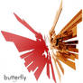 butterfly