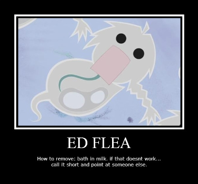 Ed Flea