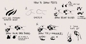 how i draw cat feet