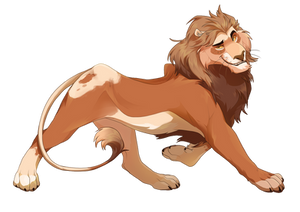 lion boy