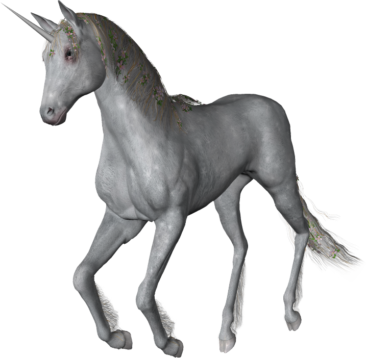 Unicorn II