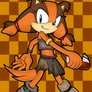 Sonic Boom - Sticks The Badger