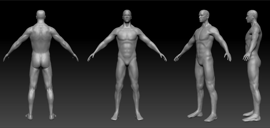 Anatomy Study ZBrush