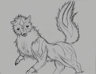 Spirit wolf 'not colored'