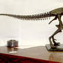 Tyrannosaurus Rex / T-rex Skeleton Sculpture body