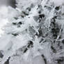 Hoar Frost - Nov 17.