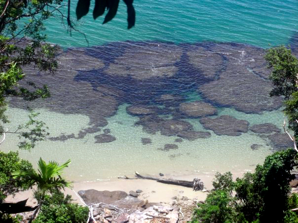 Fraser Island 1