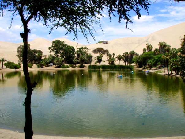 Oasis in Peru