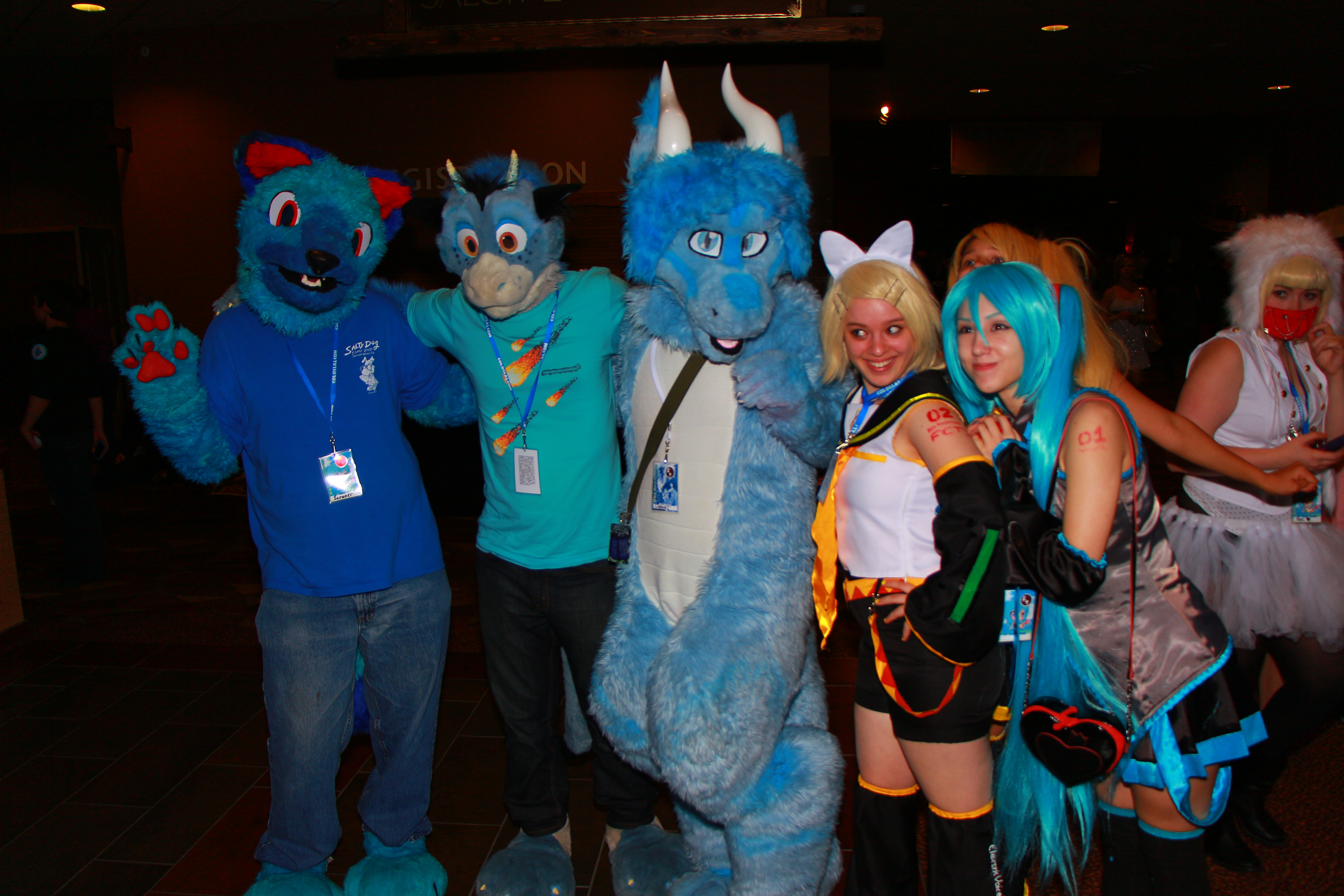 ColossalCon 2013 - Furry Party 1