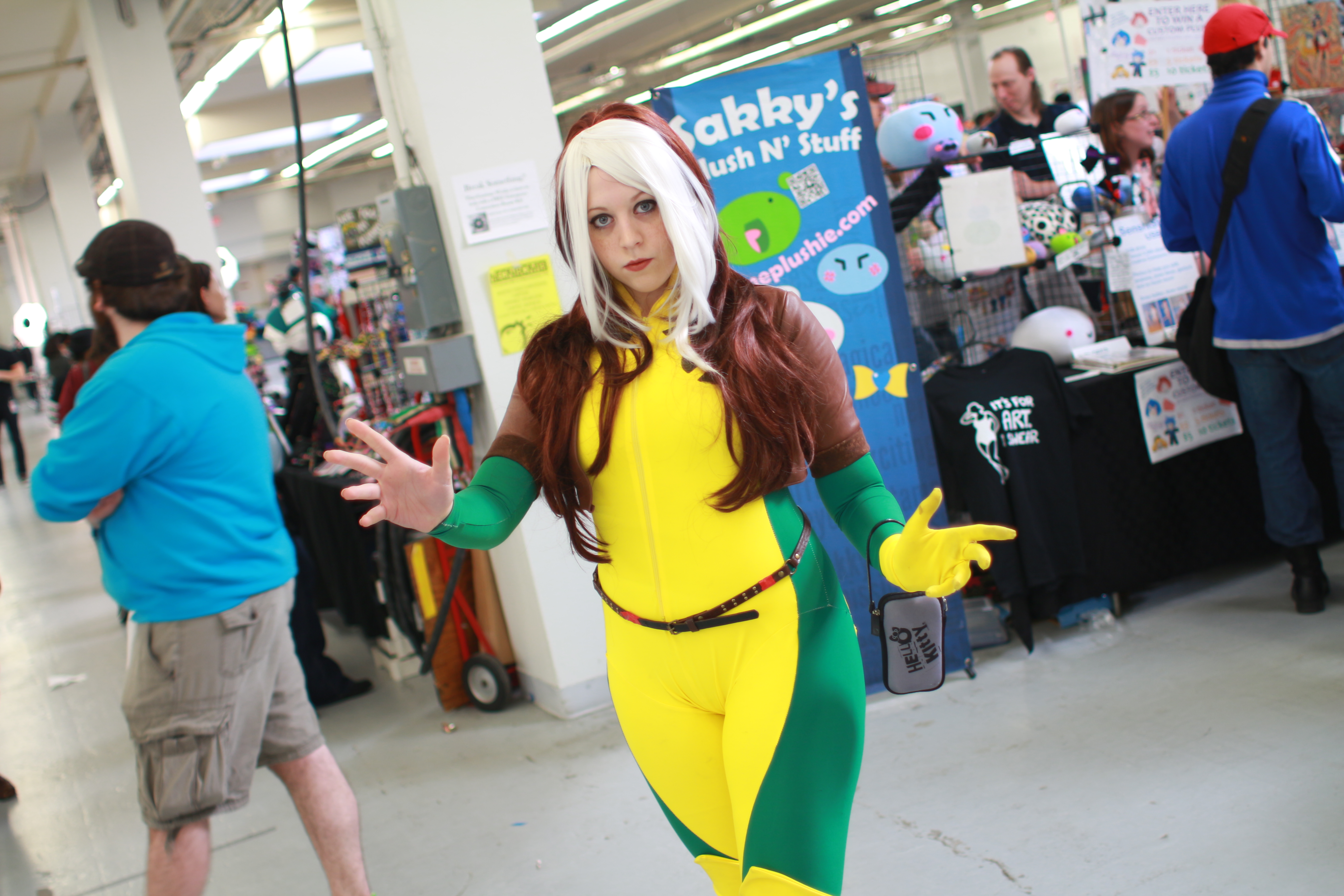 Another Anime Con 2013 - Rogue