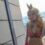 PAX East 2014 - Princess Slave Peach(PS) 15(EDIT)