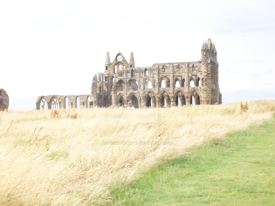 Whitby Abbey