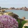 C'est chez moi au printemps. Bretagne.