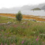 Ballade le long du fjord. NORVEGE