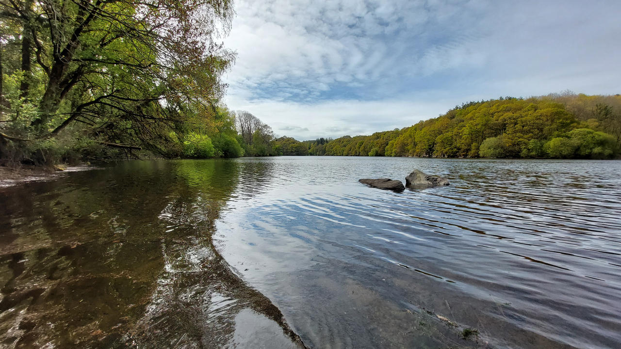 Propice a la contemplation