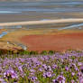 Les couleurs automnale en Bretagne. France