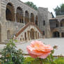 La rose du palais de Beiteddine au Liban