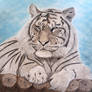 Tigre des neiges silencieux