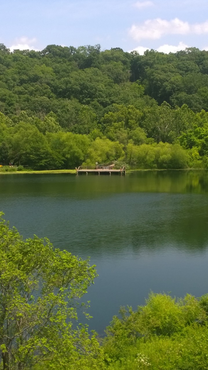 Zoo Lake