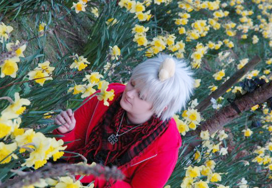 APH: Amongst The daffodils