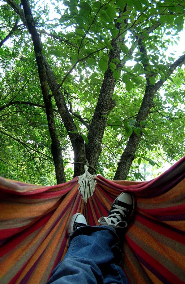 Hammock...