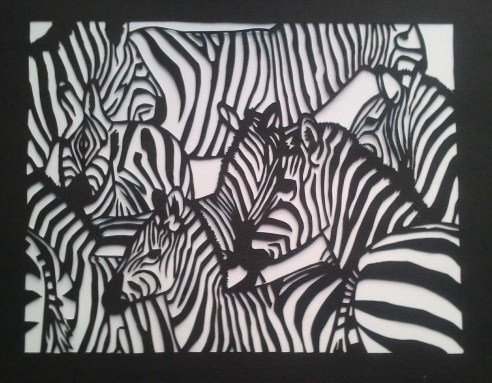 Zebras