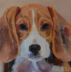 Beagle