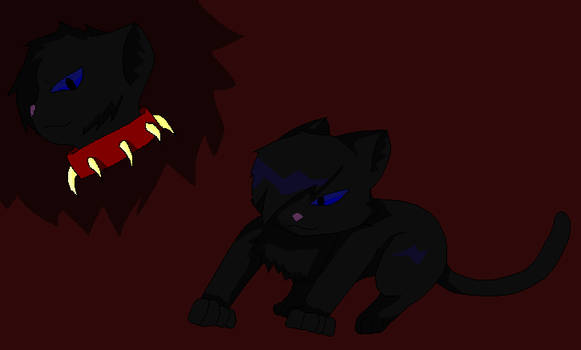 Nightclaw OC Cat