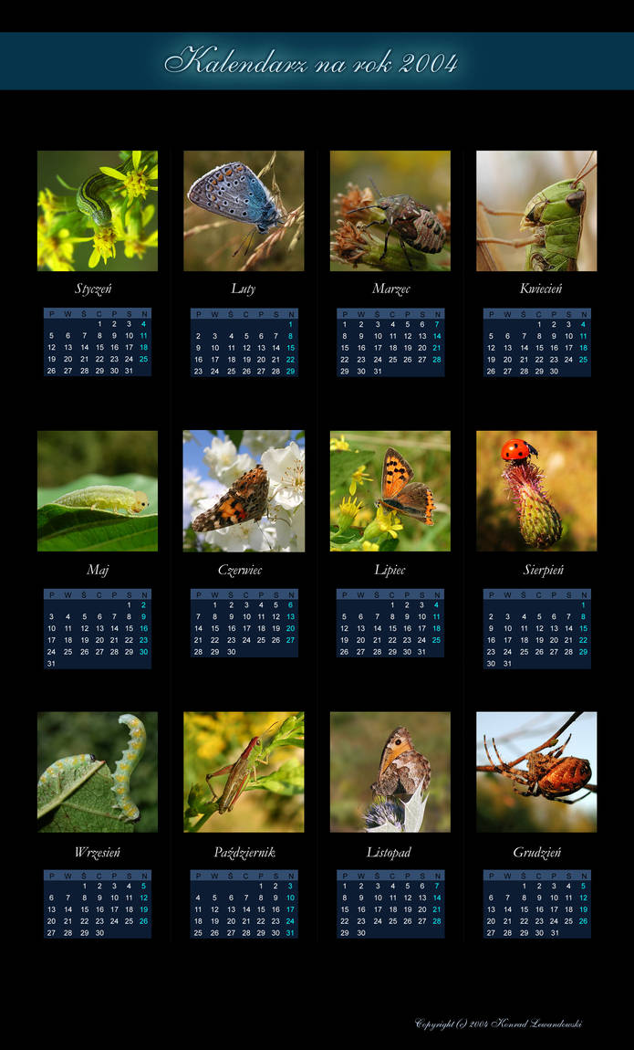 Macro Calendar v2 by pix17 on DeviantArt