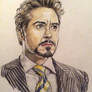 Robert Downey Jr. as Tony Stark aka Iron Man