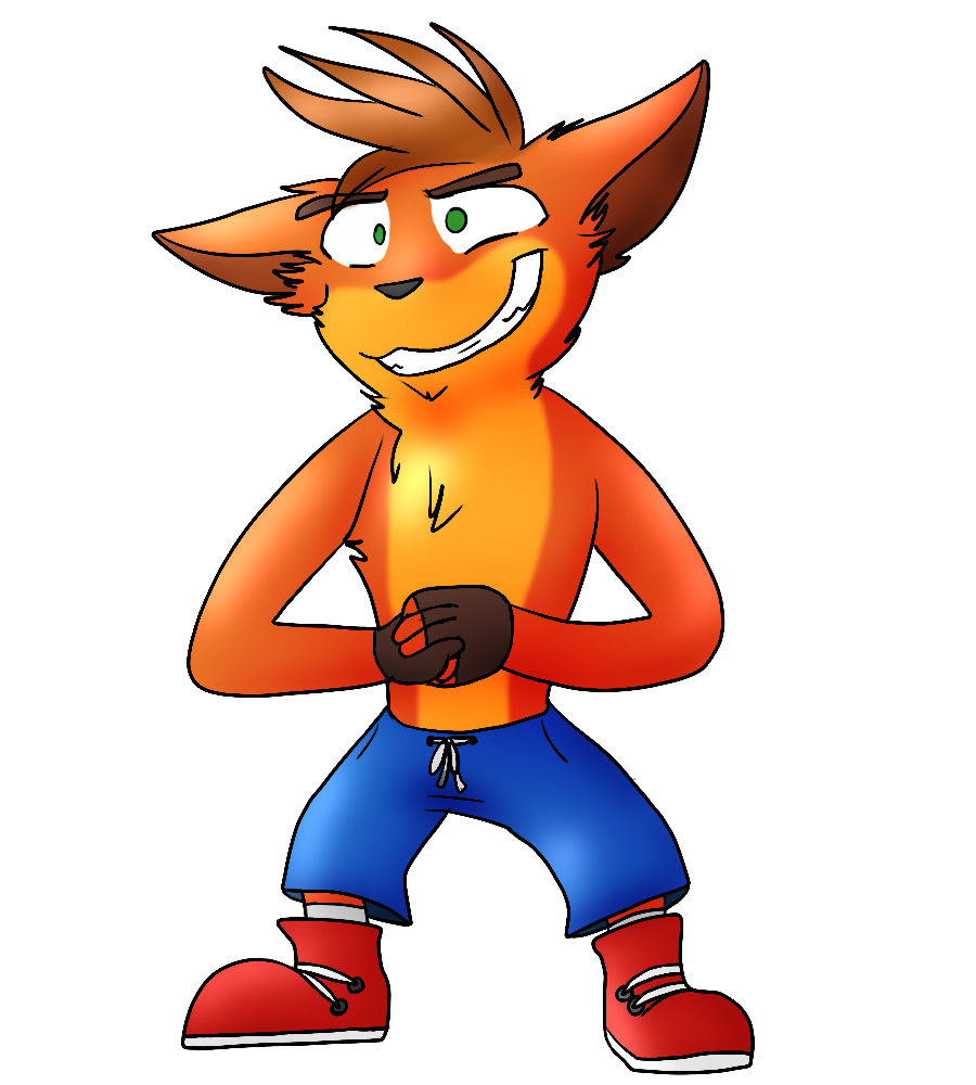 The Crash Bandicoot