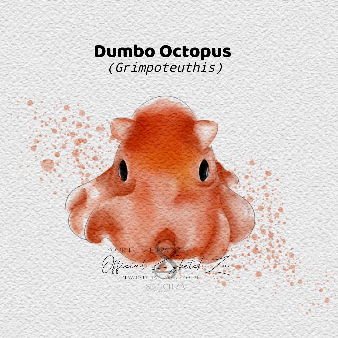 Dumbo octopus