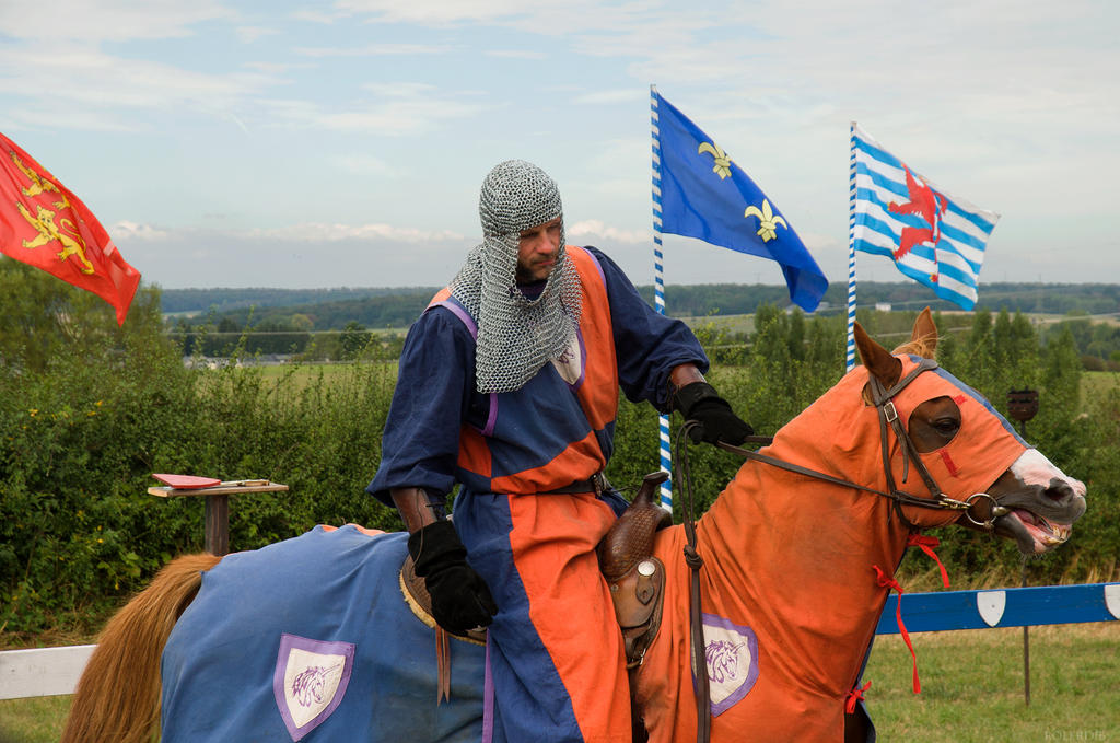 Knight Rampant Knight by RolerDib on DeviantArt
