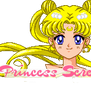 Princess Serenity Bust