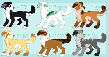 Set Price Canines (2/6 Open)