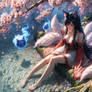 Ahri