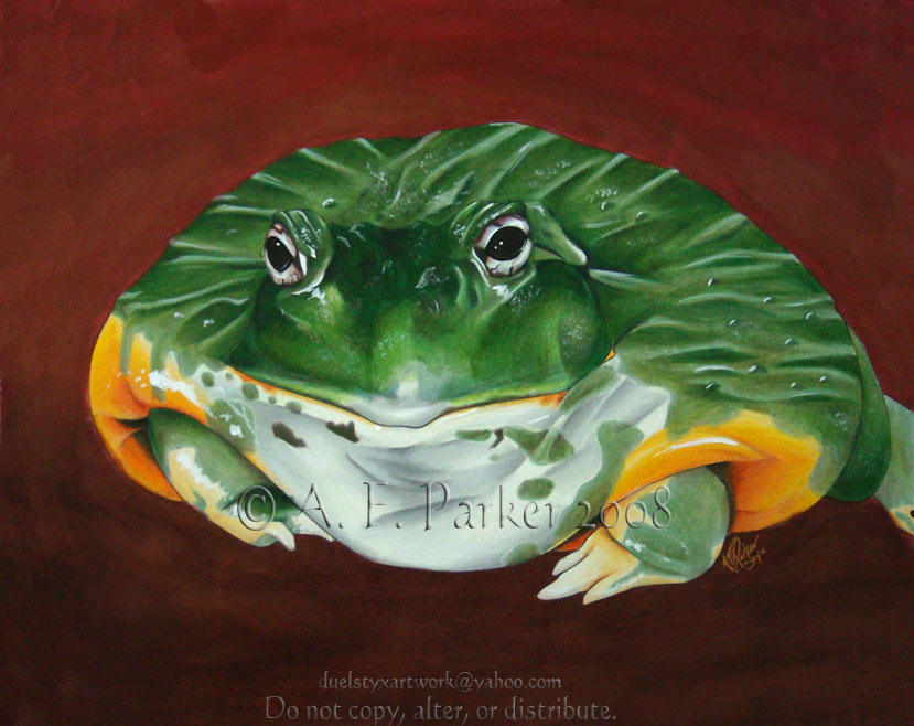 African Bullfrog by styx-leagon on DeviantArt
