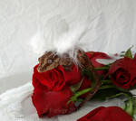 Valentine's Day by styx-leagon