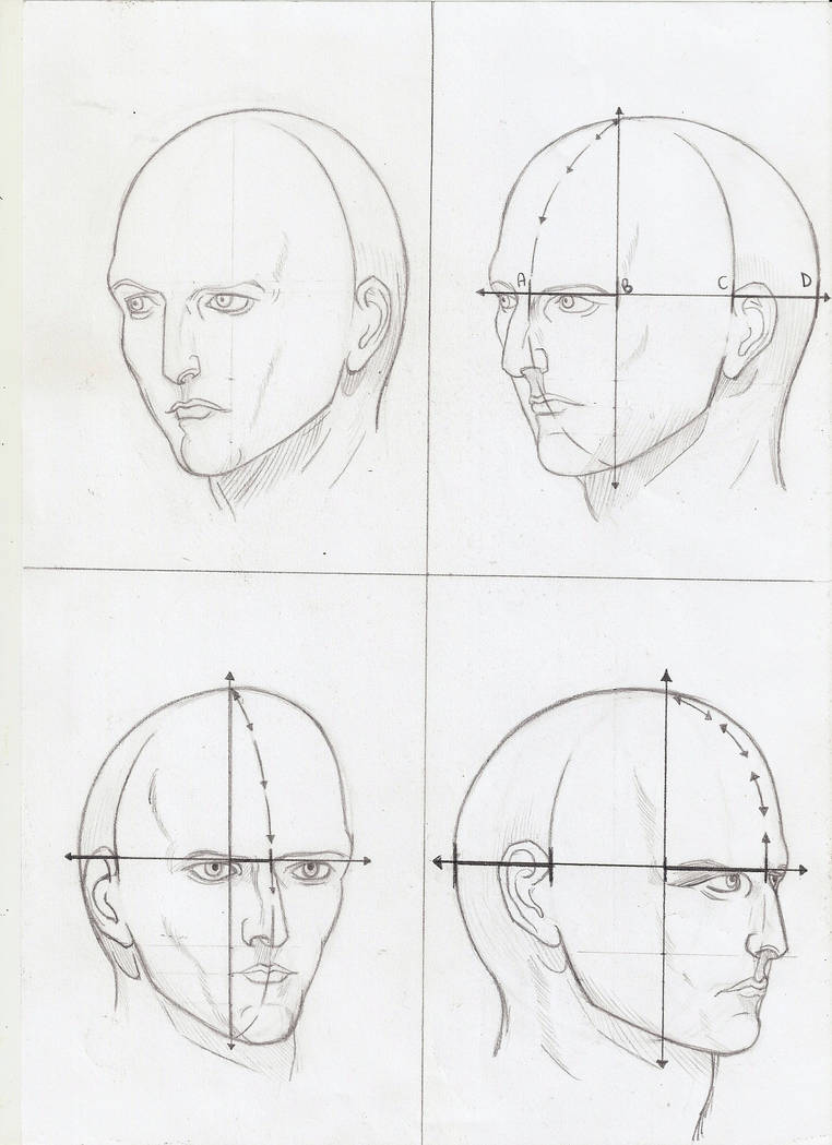 Four views of head rotation by KomjatGirl on DeviantArt
