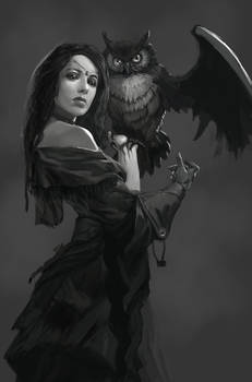 Witch Owl