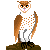 Icon F2U - Owl